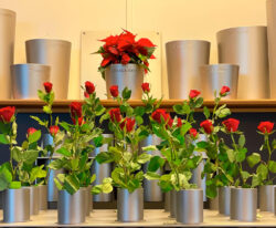 en række krukker i rustfrit stål med mange holdere til blomsterstilke