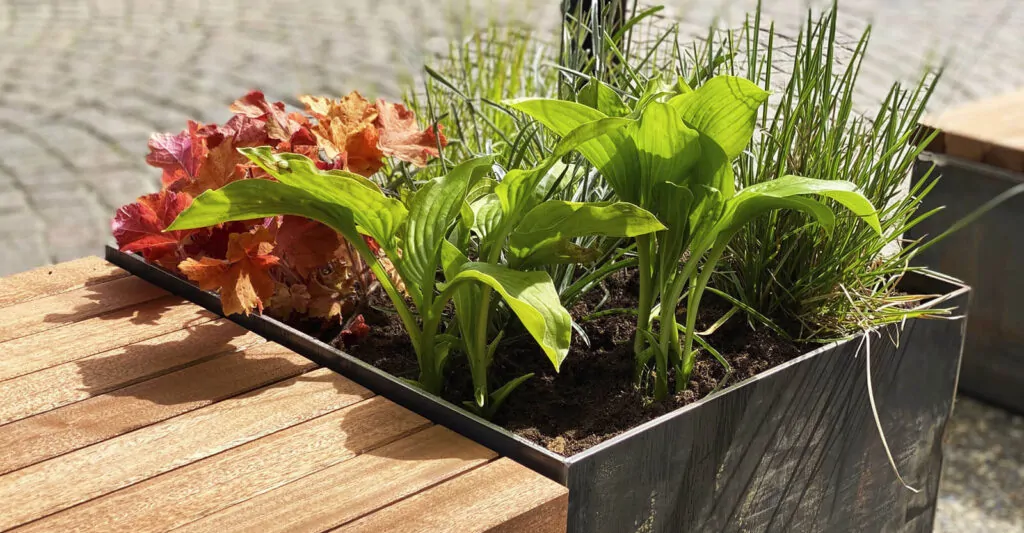 Plantekasse med bænk 6