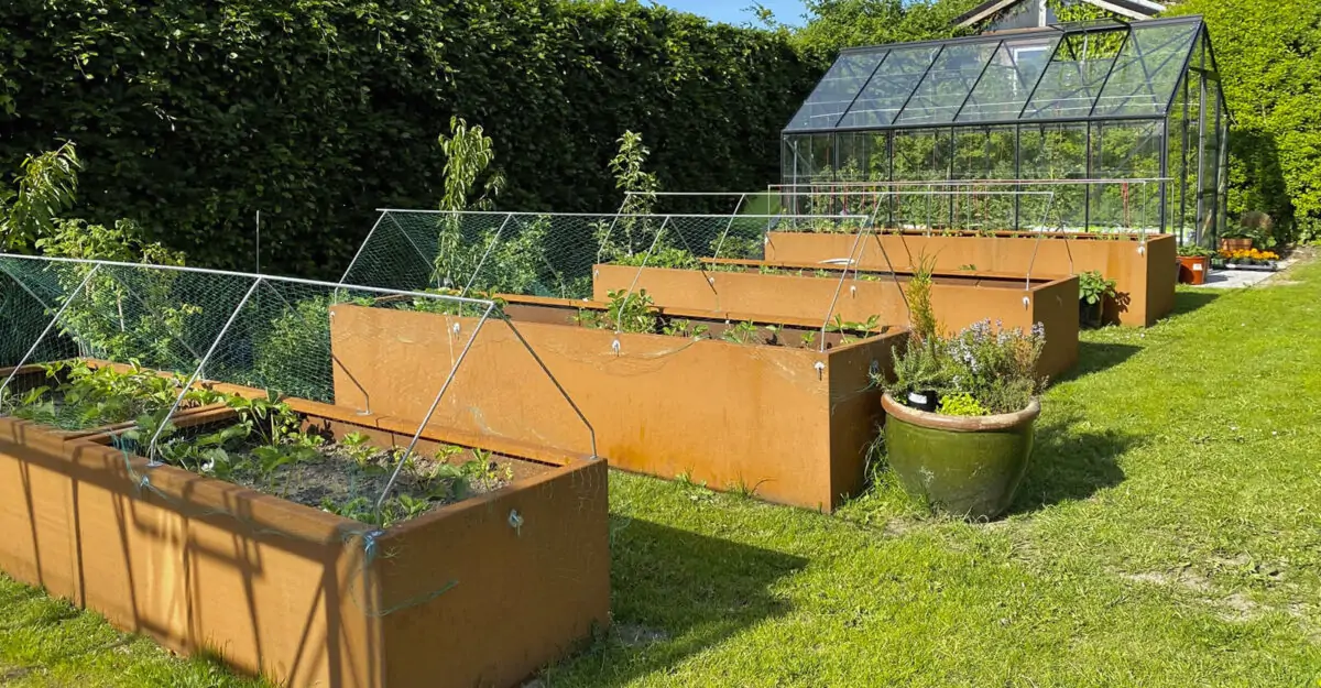 Smukke plantekummer og plantekasser i cortenstål står i en privat have