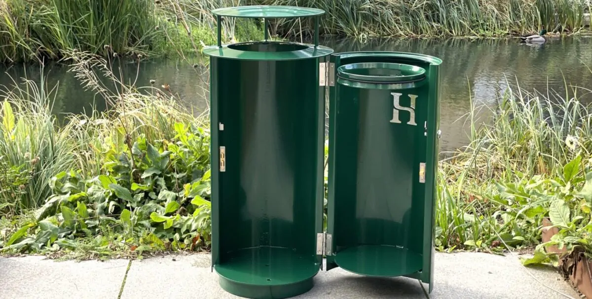 Turtle-3-scaled-e1760440514849-aspect-ratio-1362-689