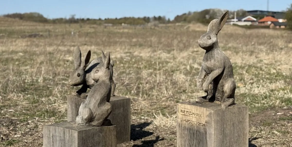 Kanier-scaled-e1771345018131-aspect-ratio-1362-689